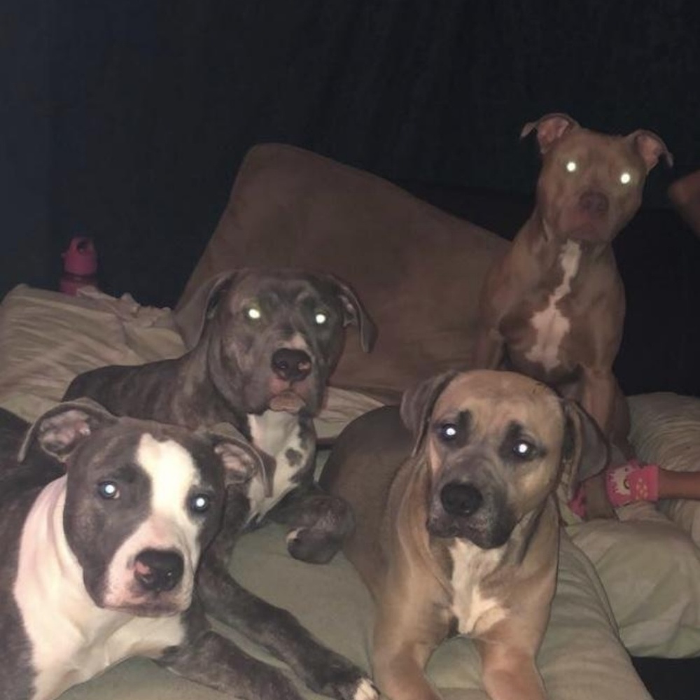 Meet your Posher, Cristina